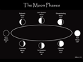 Moon Phases